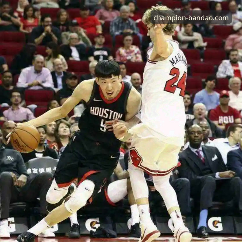 半岛体育平台激情赛场背后的真相：不止于观赛的深度体验